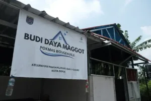 Rumah Budidaya Maggot Pangkalan Baru Depok Berhasil Kurangi Ratusan Kilogram Sampah Organik 3