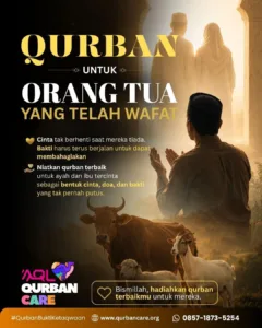 Is It Valid? Menguji Keabsahan Hewan Qurban Lewat Look-nya 3